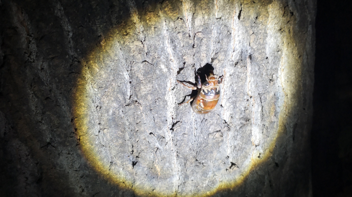 静静悄悄。默默。