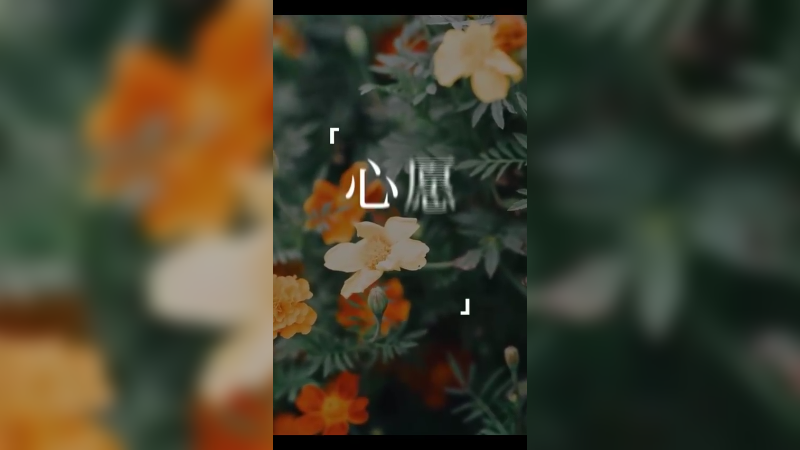 《心愿》