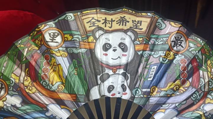 回看
