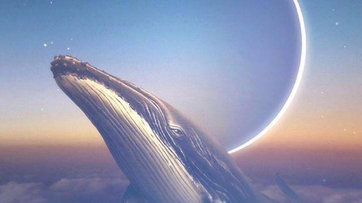 今天我有杀到人喔!