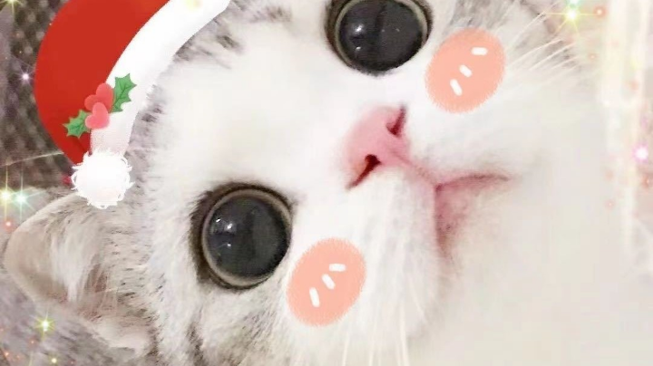 得想办法奖励自己一下