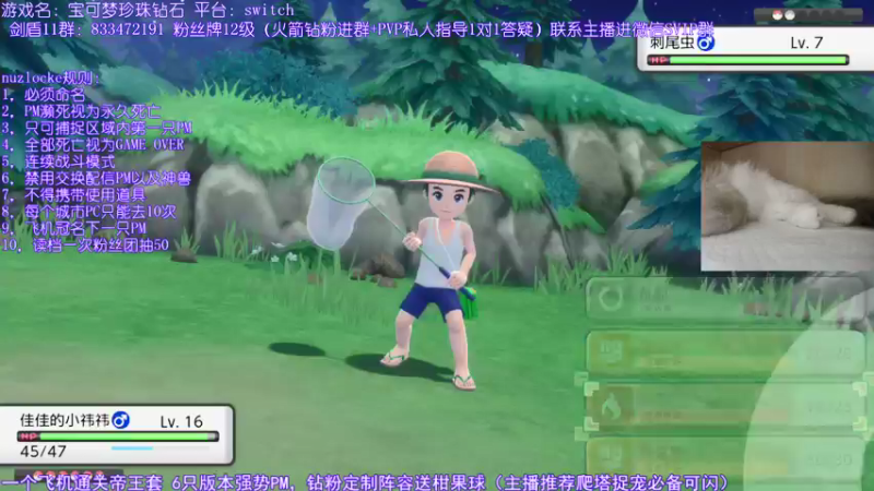 【2021-12-08 01点场】墨羽小祎：珍珠nuzlocke2.0模式，爬塔教学