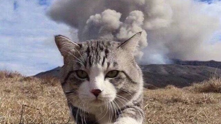 111