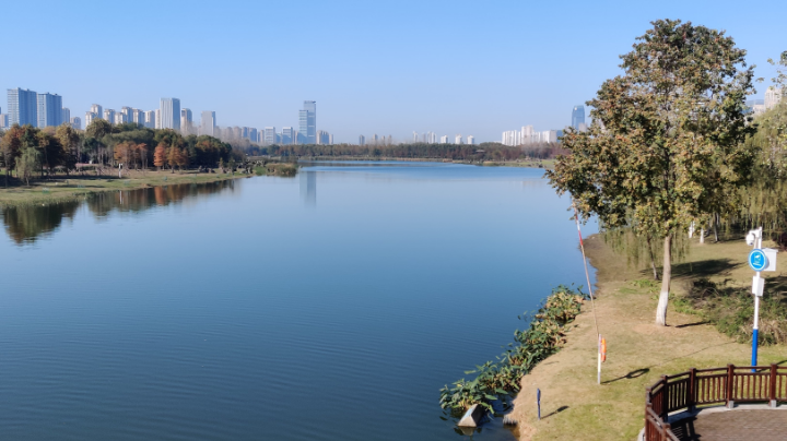 伽达默尔阅读