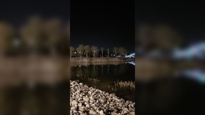 测井公园拱桥夜景