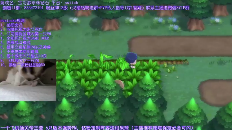 【2021-12-07 23点场】墨羽小祎：珍珠nuzlocke2.0模式，爬塔教学