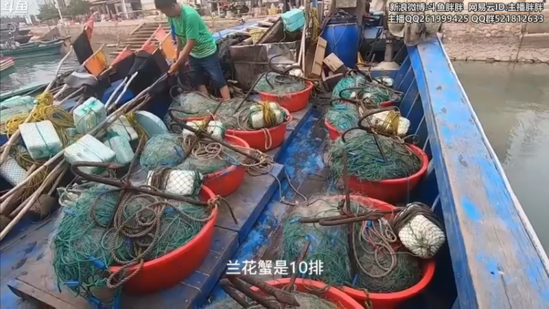 【2021-12-08 03点场】胖胖灬：胖胖OB：转会期EDG\RNG\TES