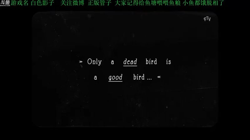 【2021-12-08 17点场】正版管子：【管子】白色影子·另类高能搞笑主播