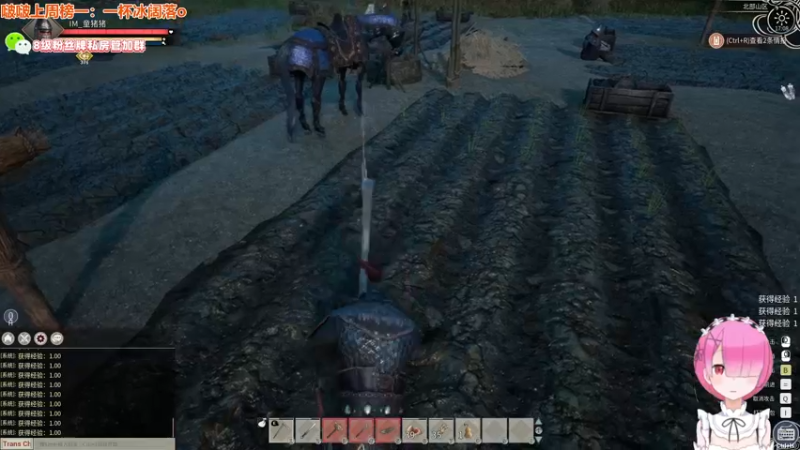 【2021-12-08 17点场】童猪啊i：宰了这只猪