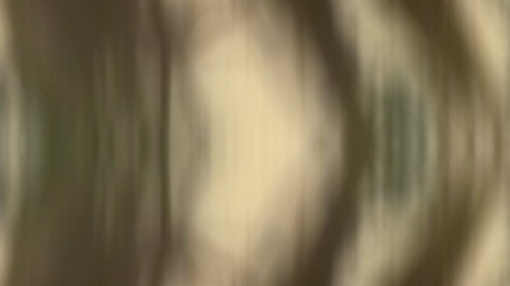 感谢xdm每天陪我耍游戏～