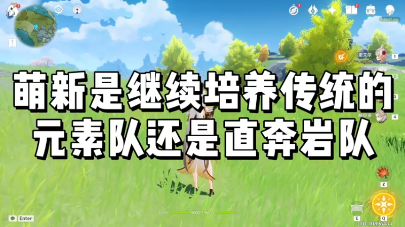【原神】萌新是继续培养传统的元素队还是直奔岩队