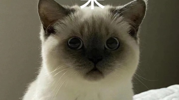 塔科夫1