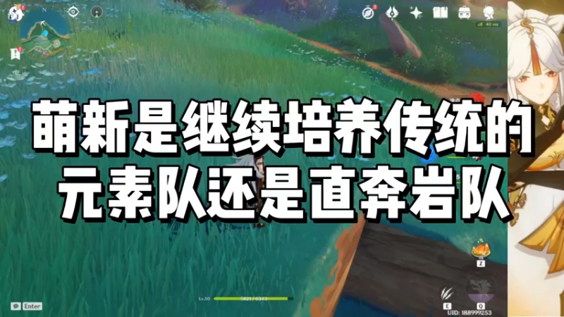 【原神】萌新是继续培养传统的元素队还是直奔岩队