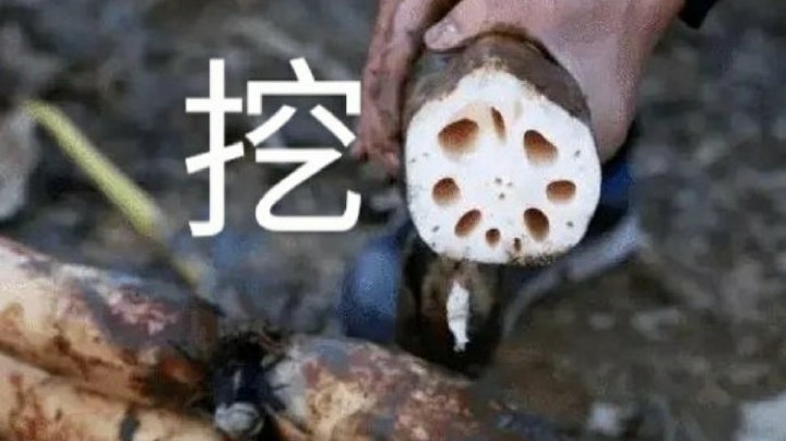 回放