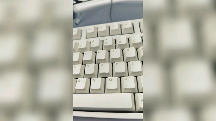 胡