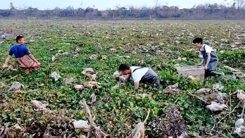 【2021-12-10 16点场】洪湖小肖：那一年  那一天  我们都在进步