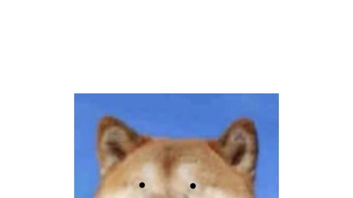21.12.9
