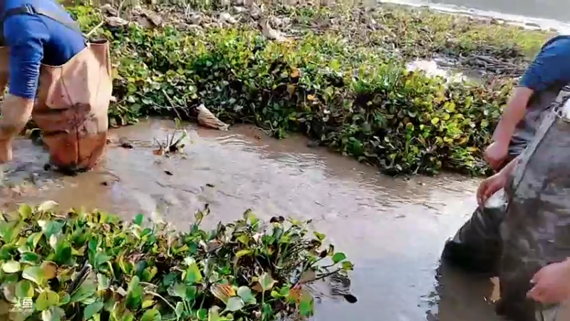 【2021-12-10 14点场】洪湖小肖：那一年  那一天  我们都在进步