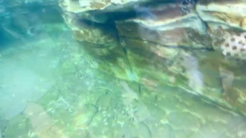 【2021-12-10 16点场】叶知秋Vanessa：秋：不定时户外