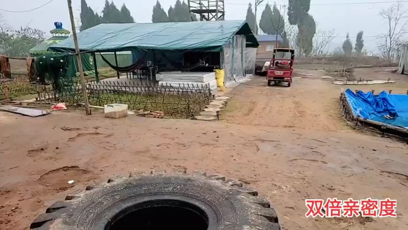 【2021-12-10 13点场】川味箩卜：猛男训练营 757122