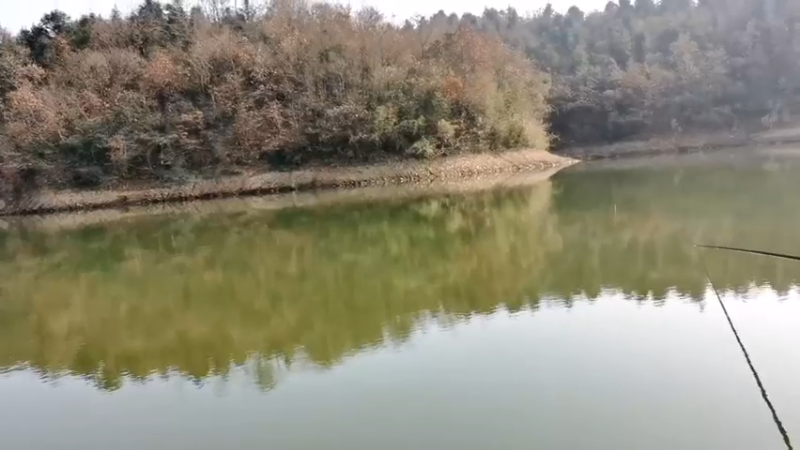 【2021-12-10 11点场】中华户外钓鱼：小水库试钓