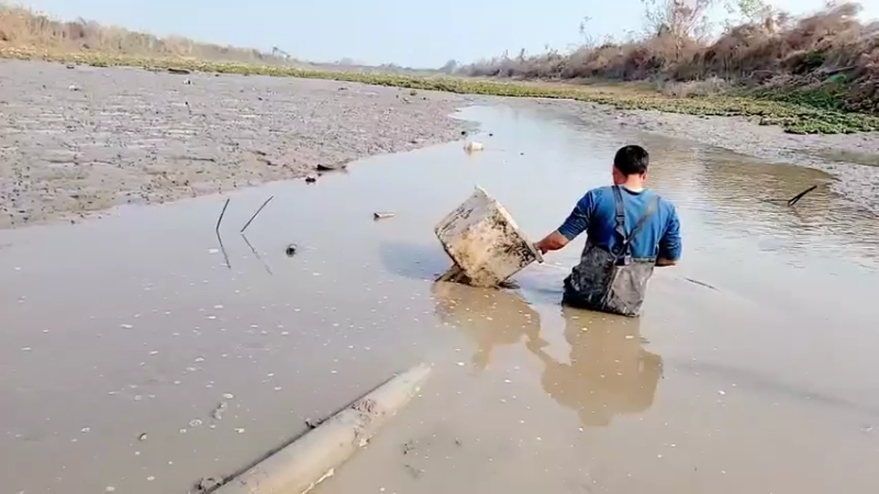 【2021-12-10 12点场】洪湖小肖：那一年  那一天  我们都在进步