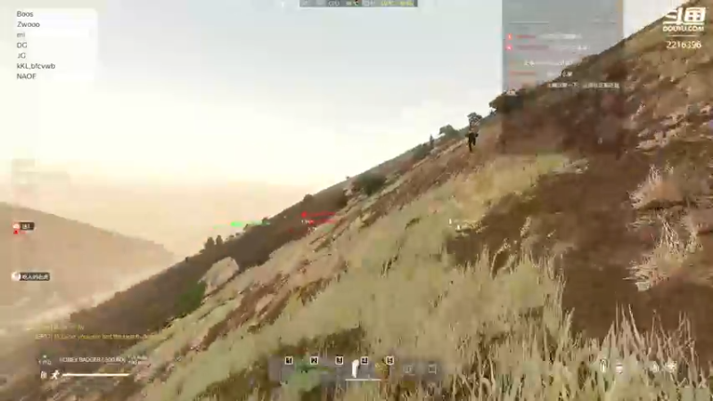 dayz