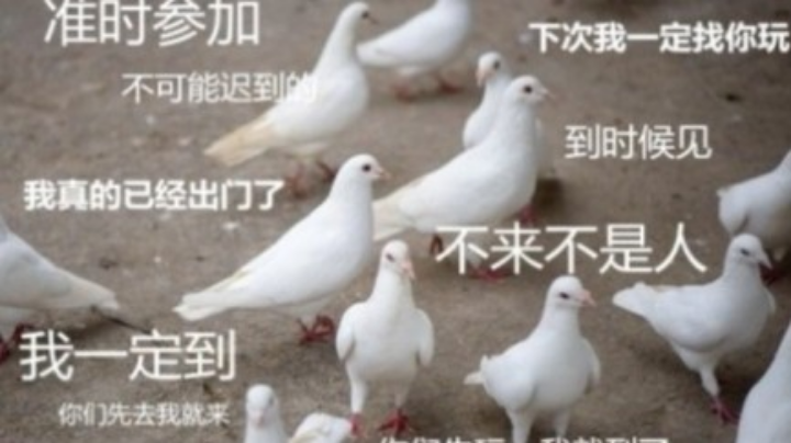 第五赛季建将