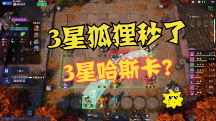 3星狐狸一剑秒3星哈斯卡，可乎？