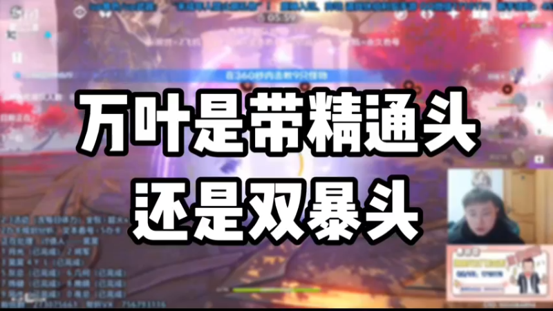 【逸风】万叶是带精通头还是双暴头