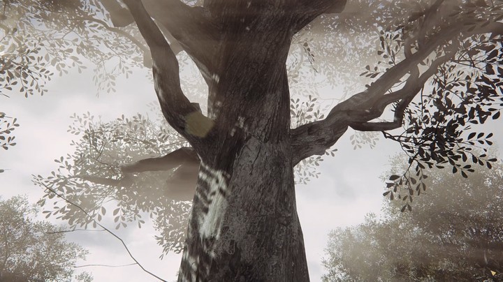 《剑侠图》试玩实况