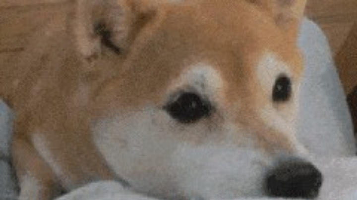 Cf