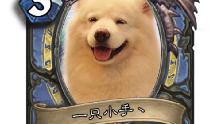 太卡了太卡了