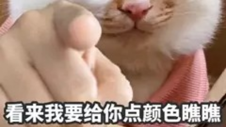 娱乐开心就好