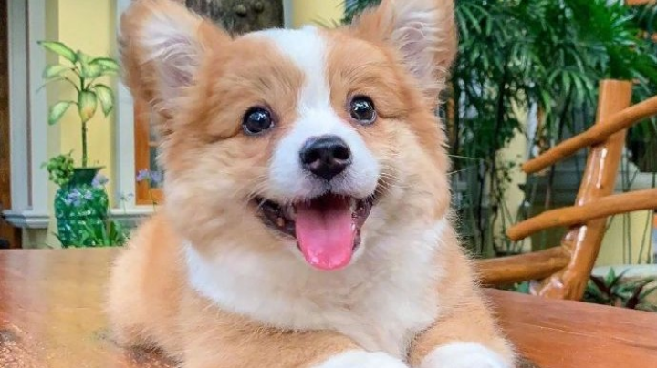 。。。
