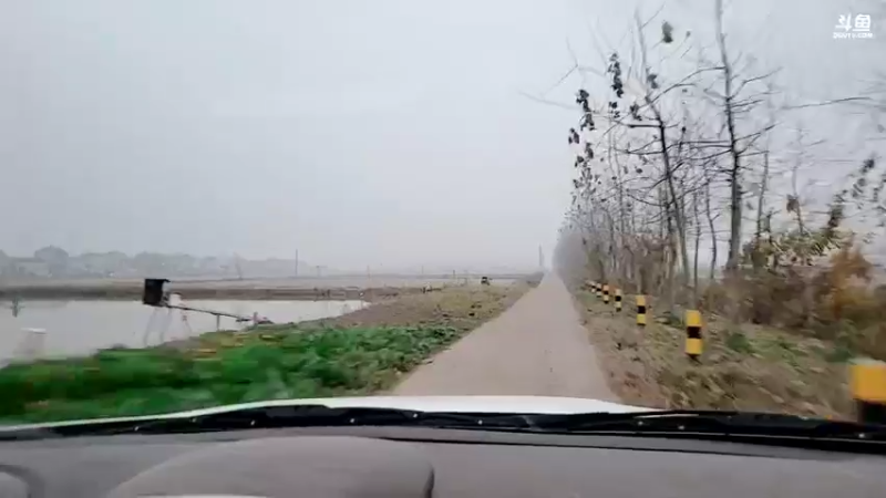 【2021-12-11 17点场】洪湖小肖：那一年  那一天  我们都在进步