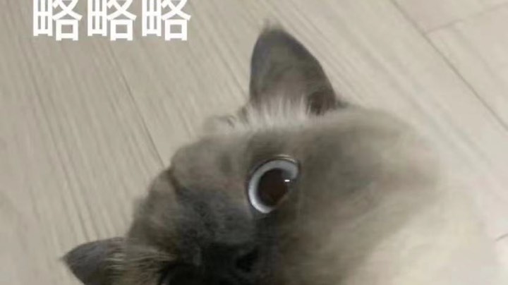 狂欢3