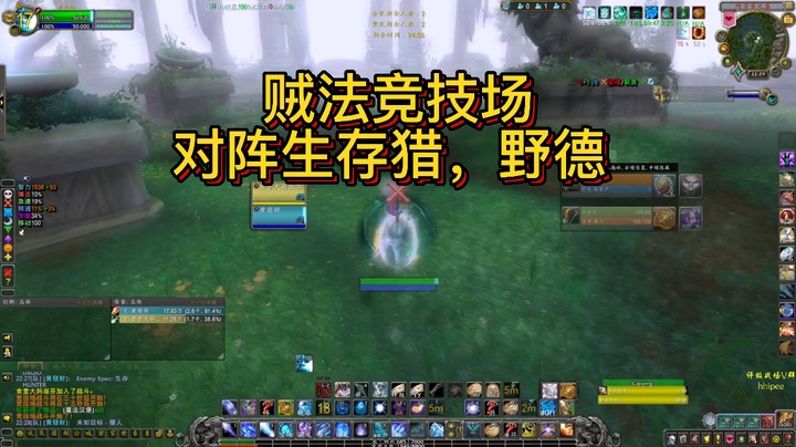 【黄發財】贼法竞技场，我方贼不交流，直接去秒了野德..