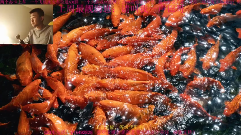 【2021-12-11 21点场】主播世贤：两字概括更新后的突破模式进攻方：乌拉~