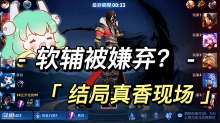 开局被嫌弃的辅助后面被争着爱，太真实了