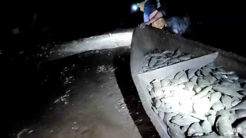 【2021-12-12 21点场】洪湖小肖：今晚海底直播