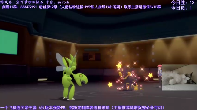 【2021-12-11 22点场】墨羽小祎：给老外上上课戒网瘾，pvp阵容定制。