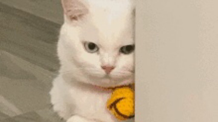 1144