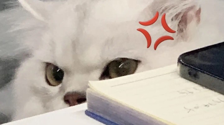 弟弟