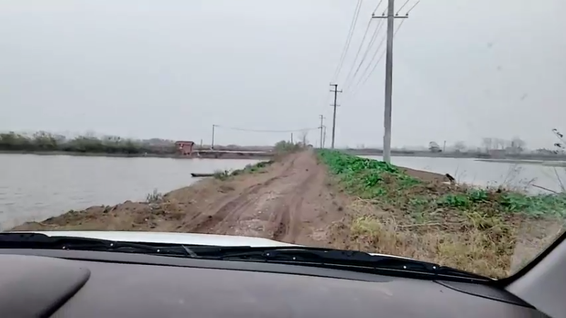 【2021-12-12 15点场】洪湖小肖：那一年  那一天  我们都在进步