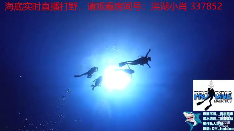 【2021-12-12 20点场】海道丶：干干干！就是干 5408206