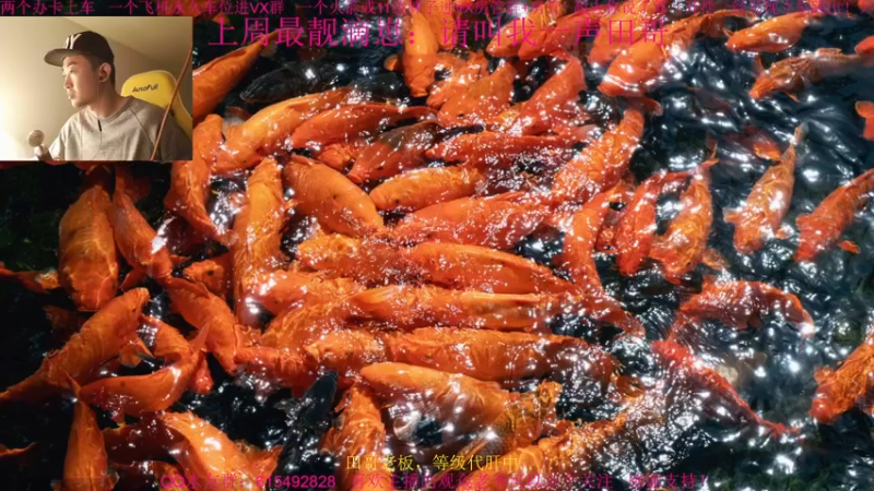 【2021-12-11 11点场】主播世贤：两字概括更新后的突破模式进攻方：乌拉~