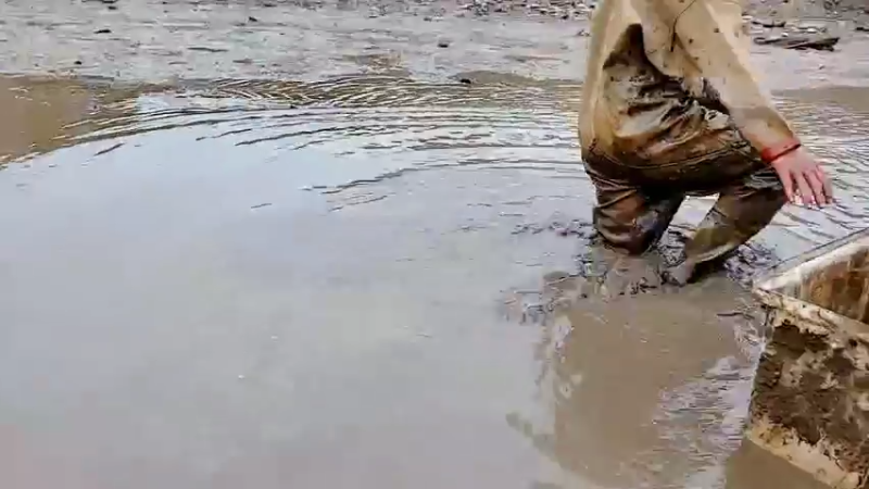 【2021-12-12 13点场】洪湖小肖：那一年  那一天  我们都在进步