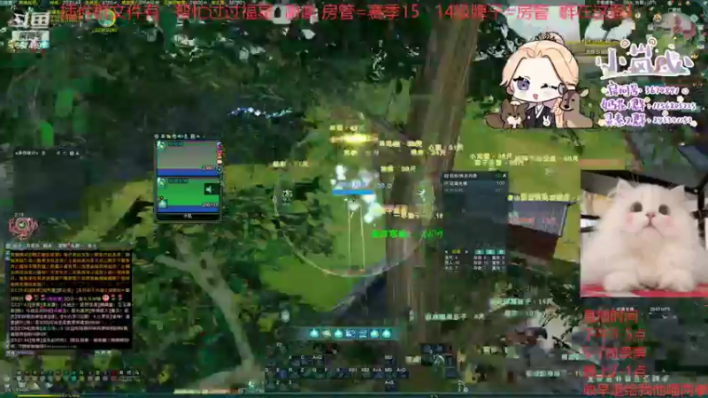 【2021-12-10 23点场】小岚点心：[小岚心]奶花奶药竞技场视角