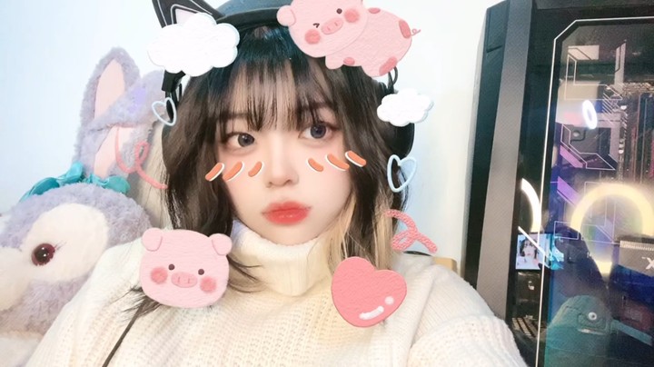 看看猫